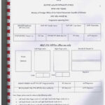 American Passport Renewal Form Pakistan Universal Network