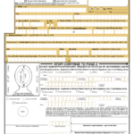 DS 11 Form 2018 Fillable Printable Online PDF Sample