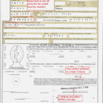 Ds 11 Form For Passport Travelingshana Free Printable