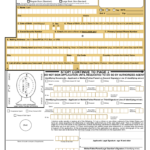 DS 11 Form Printable Get DS 11 Passport Form Online To