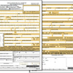 DS 11 New Passport Application Form