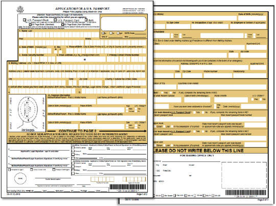 DS 11 New Passport Application Form