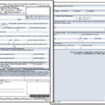 DS 82 Application For Passport Renewal By Mail