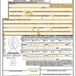 Form Ds 11 Download How To Apply For A Us Passport