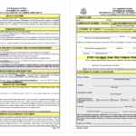 Notarize DS 3053 Form Passport Parental Consent Online