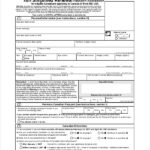 Online Passport Application Filled Form Sample PDF Template