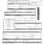 U S Passport Re Application Form Free Download