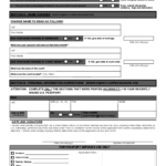 U S Passport Re Application Form Free Download