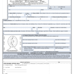 U S Passport Renewal Application For Eligible Individuals