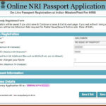 Us Passport Renewal Application Form In Spanish Form