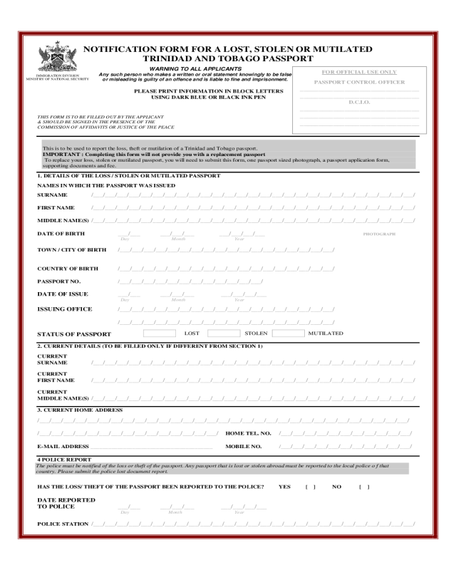 2020 Lost Or Stolen Passport Form Fillable Printable