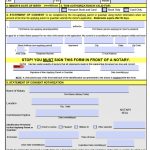 28 Ds 3053 Consent Form In 2020 Passport Form Consent