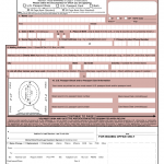 Application For A U S Passport Name Change Data