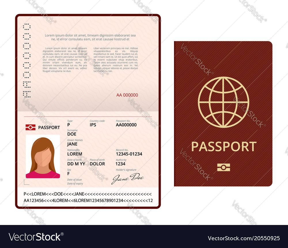Blank Open Passport Template International Vector Image On 