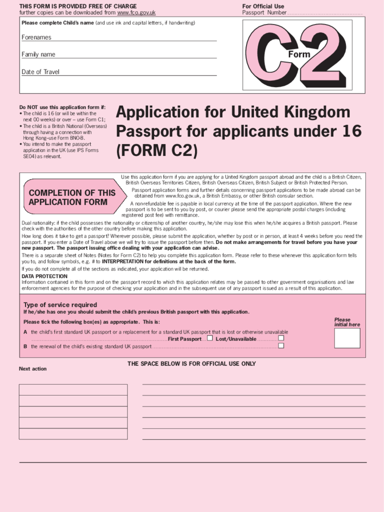 Child Passport Renewal Form 3 Free Templates In PDF