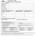 D11 Form Fill Online Printable Fillable Blank PdfFiller
