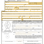 Ds 11 Form Print Download Fillable Editable PDF