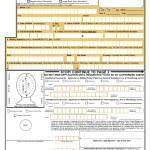 DS 11 Form Printable Get DS 11 Passport Form Online To