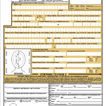 DS 11 New Passport Form Application Passport Info Guide