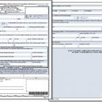 DS 82 Application For Passport Renewal By Mail Passport