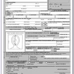 Ethiopian Passport Renewal Application Form In Canada