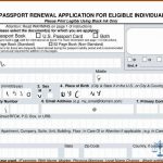 Ethiopian Passport Renewal Application Form In Usa Form