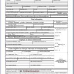 Ethiopian Passport Renewal Application Form In Usa Form