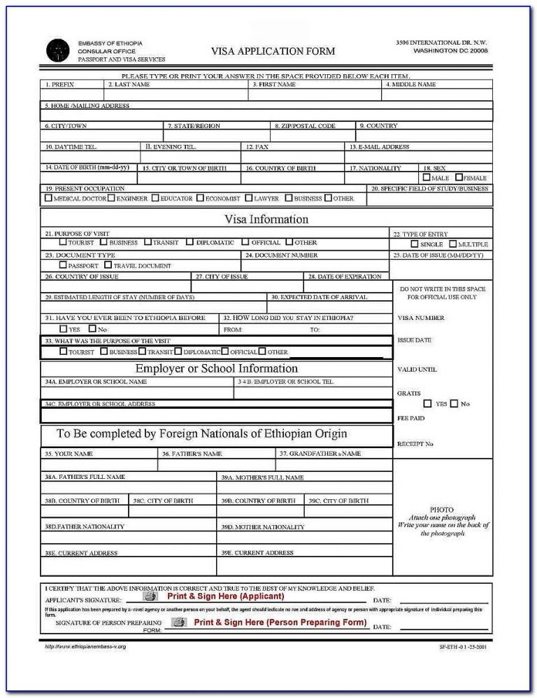 Ethiopian Passport Renewal Application Form In Usa Form 