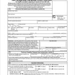 Fillable Passport Renewal Form Sample Passport Application