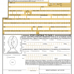 Form Ds 11 Fillable Fill Out And Sign Printable PDF