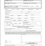 Form For Passport Renewal Application Form Resume
