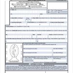 FREE 9 Sample Passport Renewal Forms In PDF MS Word