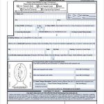 Free Passport Renewal Form Sample Passport Renewal Form 8