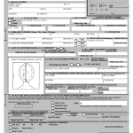 Free Printable Passport Application Form Passport