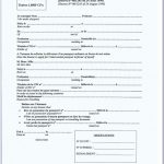 Ghana Passport Renewal Application Form New York Form