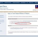 How To Apply For Passport Online A Step by step Guide