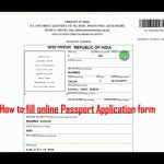 How To Fill Indian Passport Online Application Form For
