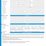 Indian Passport Renewal Application Form For Minors