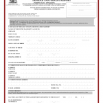 Lost Passport Notification Form Immigration Division