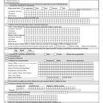 Pan Card Name Correction Form Passport Application Form