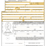 Passport Parental Consent Form Ds 3053 Eforms Free