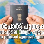 Passport Renewal UAE YouTube