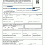 Printable Passport Renewal Application Form Uk Download