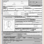 Printable Passport Renewal Form Ds 82 Form Resume