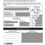 Reissue Information Alteration Correction Application Form