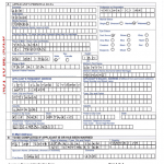 Sample Filled In Jamaican Passport Application Form