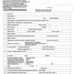 Sample Filled Indian Passport Application Form Fill