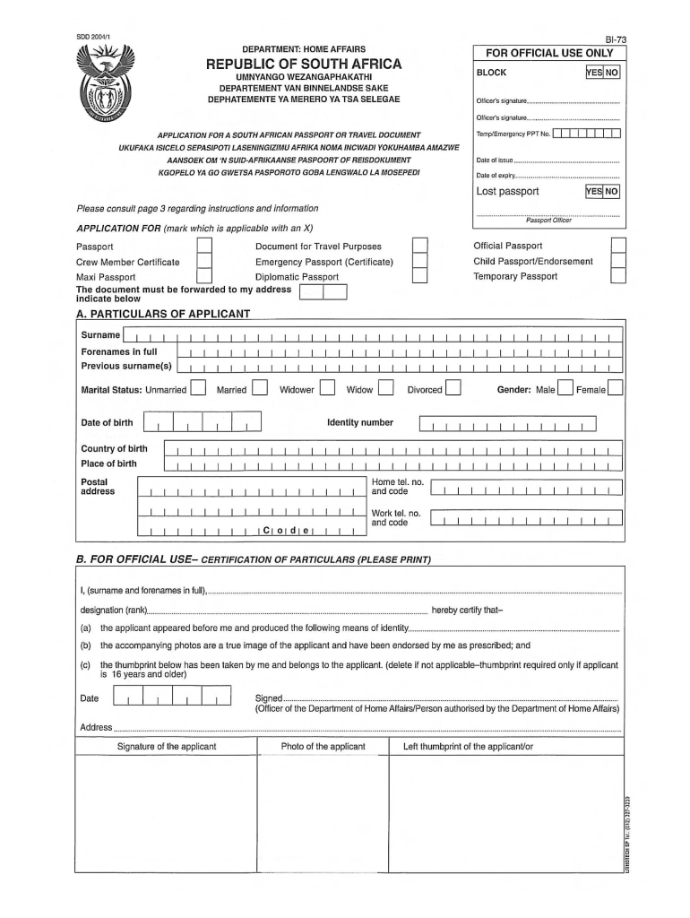 South African Passport Application Form Fill Online 