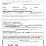 BZ Passport Application 2020 Fill And Sign Printable