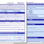 DS 64 Application For Lost Or Stolen Passport